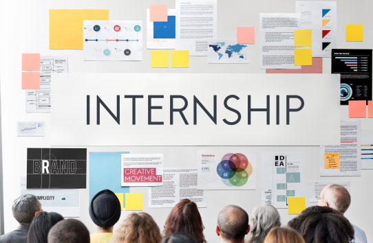インターンシップ募集